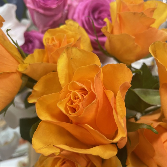 早春Flowers