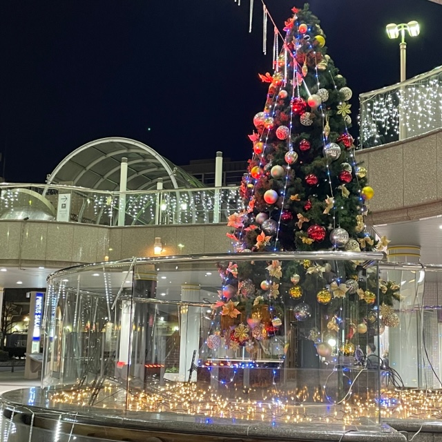 光り輝くRegency plazaクリスマスツリー